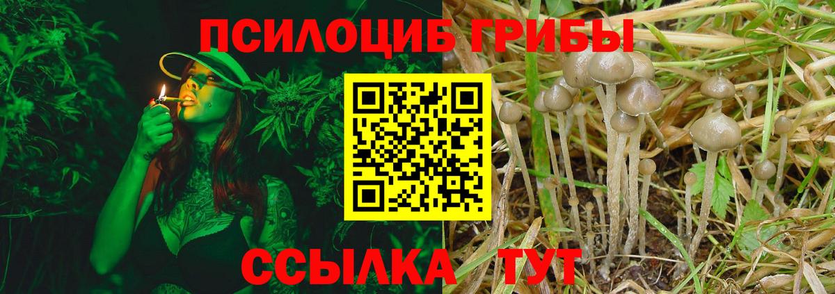 Галлюциногенные грибы мицелий  где купить наркоту  Кирово-Чепецк  Вход с VPN 